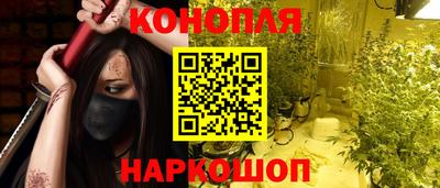 сатива Моздок