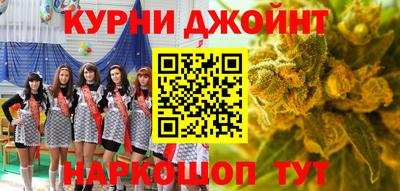 сатива Моздок