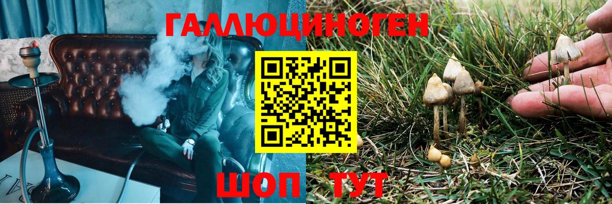 Псилоцибиновые грибы GOLDEN TEACHER Уссурийск
