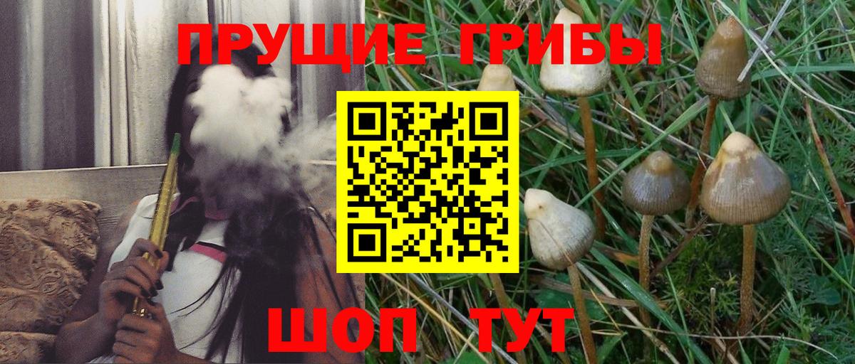 Уссурийск  Галлюциногенные грибы MAGIC MUSHROOMS  Вход с VPN 
